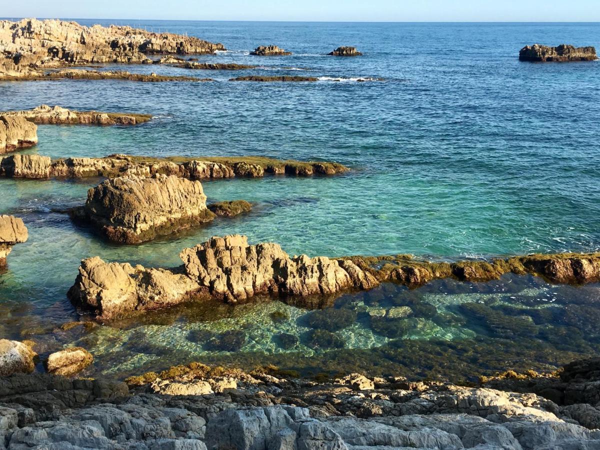 Artistic Antibes Apartment Bagian luar foto